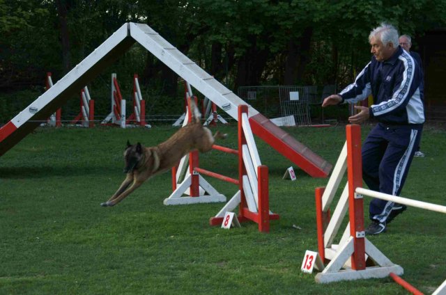 agility 2011-04